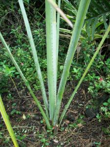 post-90-062380200 1318719749_thumb.jpg