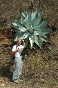 post-9457-0-30842500-1438273326_thumb.jp