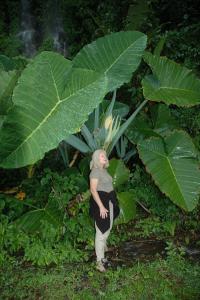 post-9457-0-67503000-1438273327_thumb.jp