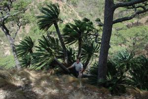 post-9457-0-82857400-1438273673_thumb.jp