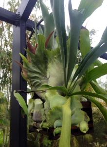 post-9514-0-97810500-1391275883_thumb.jp