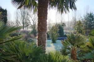 post-9583-0-00172800-1422206493_thumb.jp