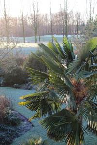 post-9583-0-00806800-1422206499_thumb.jp