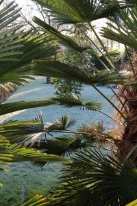 post-9583-0-40989100-1422206647_thumb.jp