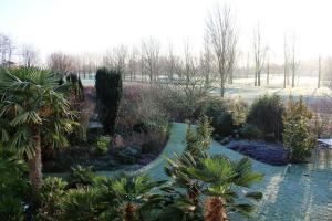 post-9583-0-74388800-1422206638_thumb.jp