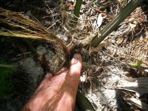 post-97-0-95935300-1430992519_thumb.jpg