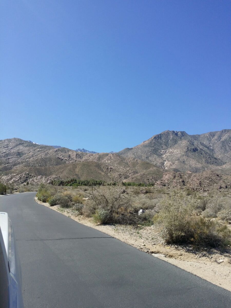 Palm Canyon