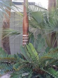 post-9726-0-77570800-1424720434_thumb.jp