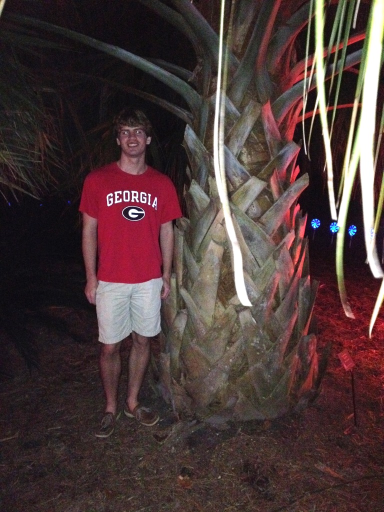 Sabal causiarum in Savannah, GA