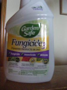 post-9928-0-06480700-1418764078_thumb.jp