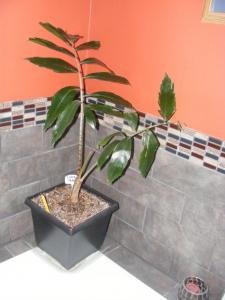 post-9928-0-37658300-1402919852_thumb.jp