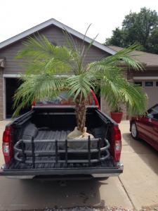 post-9928-0-49840600-1413487090_thumb.jp