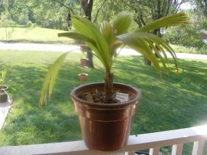 post-9928-0-89265900-1405978293_thumb.jp