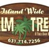 islandwidepalmtrees.com