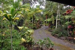 Mauka Driveway