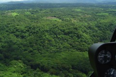 Tropical preserve aerial